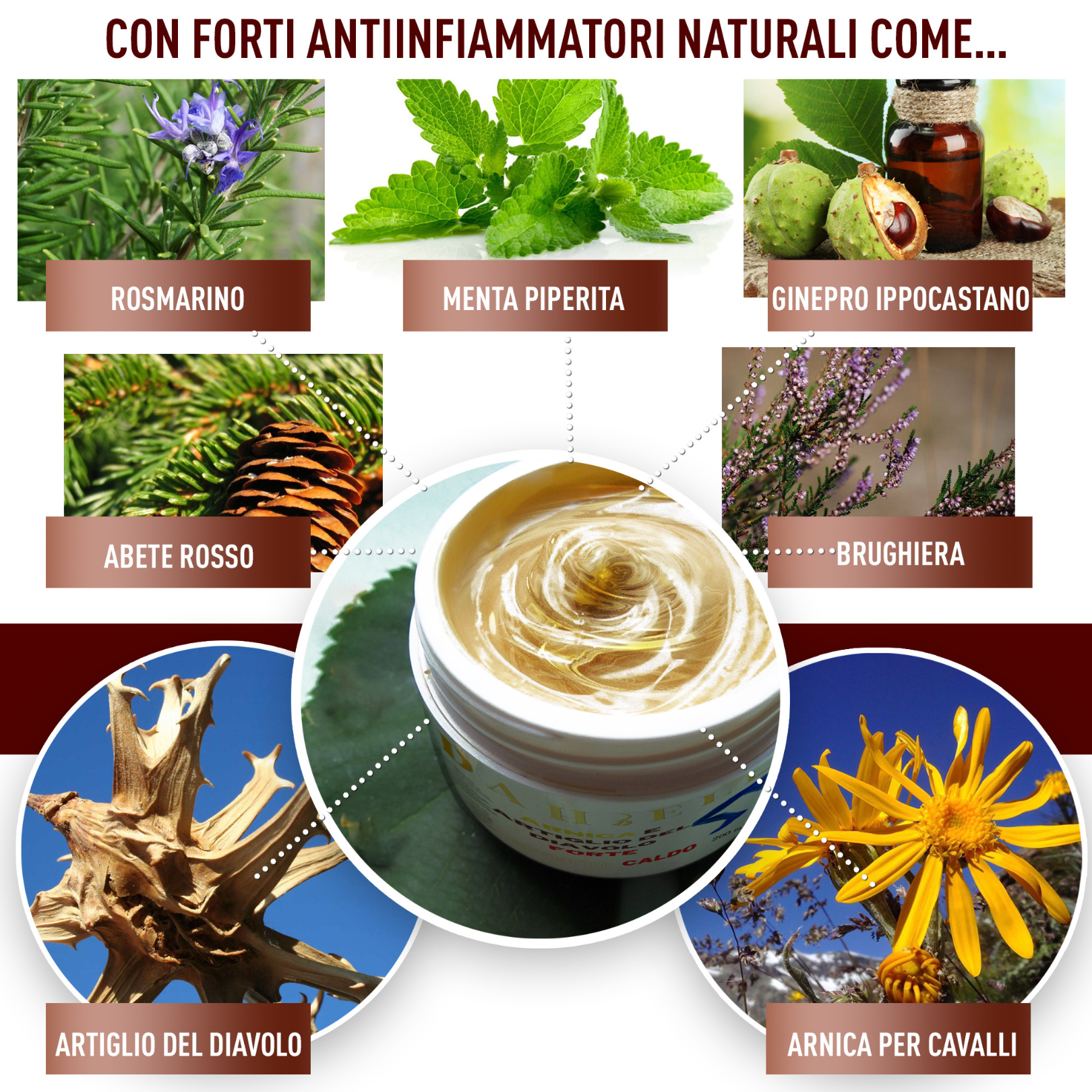 Arnica cavalli uso umano, crema gel extra forte per massaggio articolazioni e muscoli, formula naturale, potenziata ad azione intensa ed immediata, dahbell Arnica cavalli uso umano, crema gel extra forte per massaggio articolazioni e muscoli, formula naturale, potenziata ad azione intensa ed immediata, dahbell